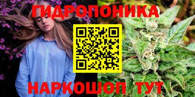 спиды Боровичи
